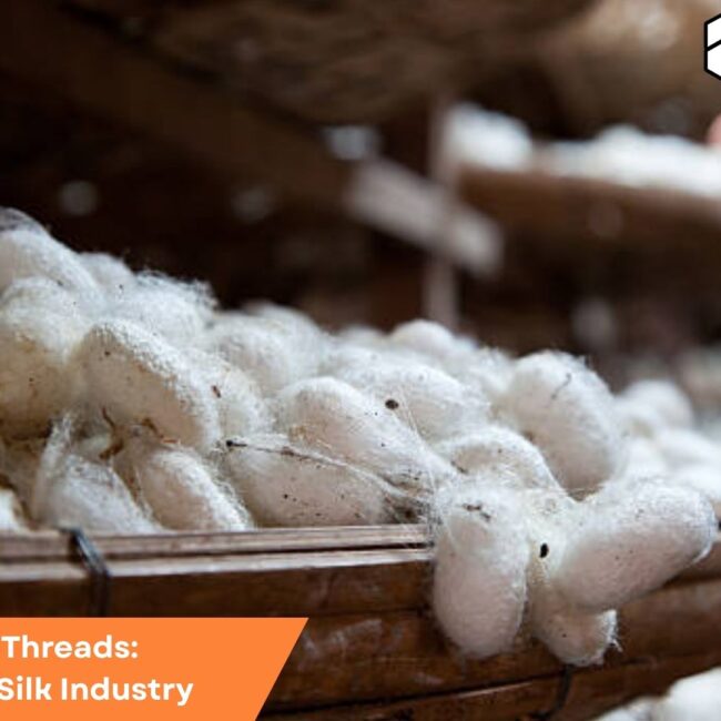 SAP B1 dashboard optimizing production and supply chain processes in the silk industry with digital tools and real-time insights.