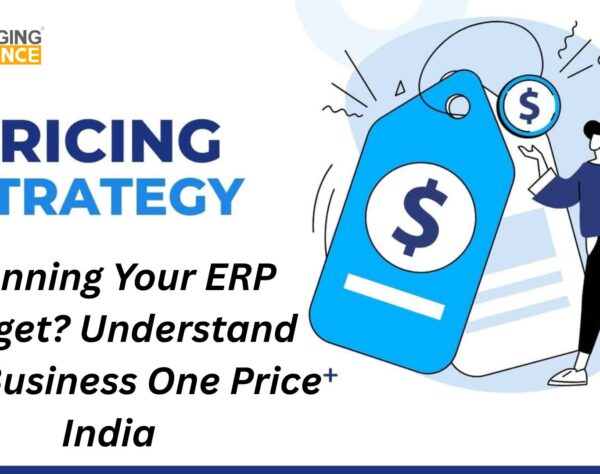 Planning Your ERP Budget? Understand SAP Business One Price India