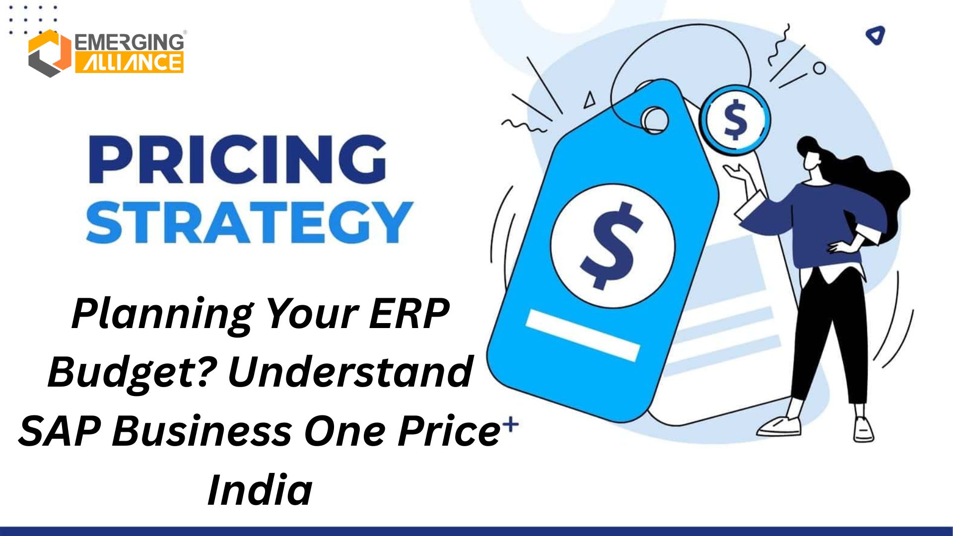 Planning Your ERP Budget? Understand SAP Business One Price India