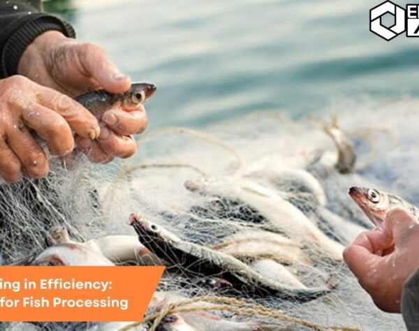 Fish processing plant using SAP B1 ERP system to streamline operations and improve efficiency.