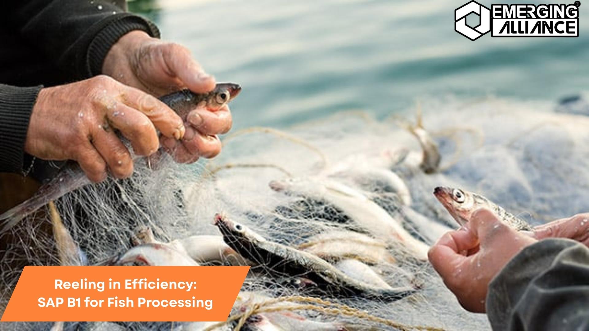Fish processing plant using SAP B1 ERP system to streamline operations and improve efficiency.