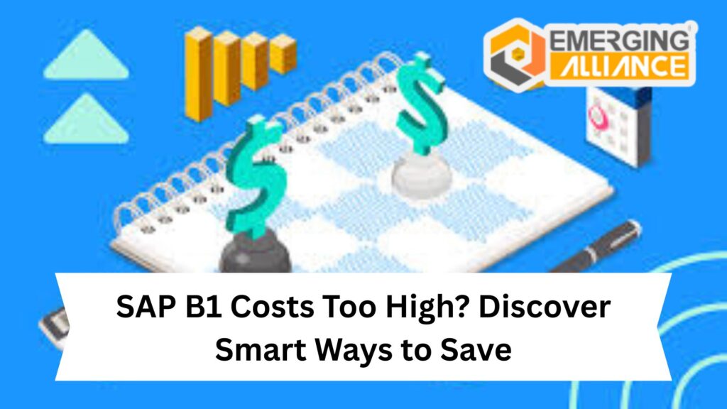 SAP Business One Costs Too High? Discover Smart Ways to Save