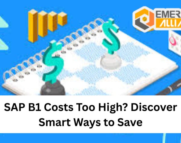 SAP Business One Costs Too High? Discover Smart Ways to Save
