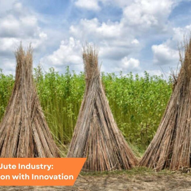 Featured image showing SAP B1 software integration in the Jute Industry, blending traditional processes with modern innovation for improved efficiency.