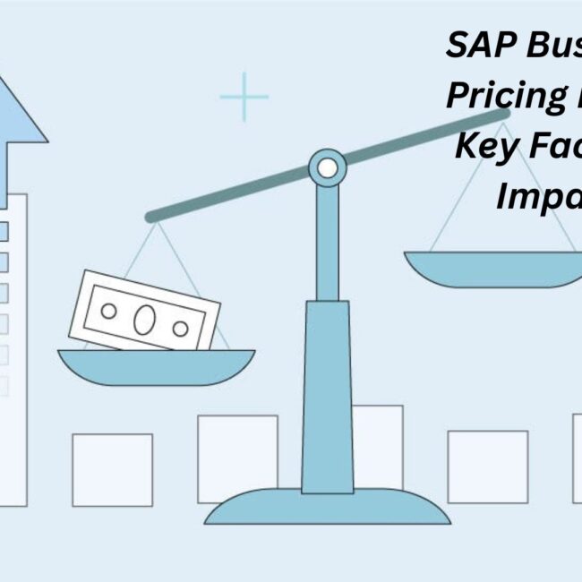 SAP Business One Pricing Explained: Key Factors That Impact Cost