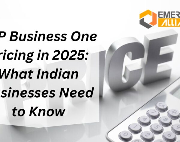 SAP Business One Pricing in 2025: What Indian Businesses Need to Know