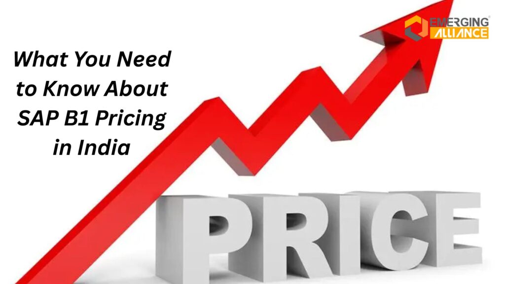 What You Need to Know About SAP B1 Pricing in India