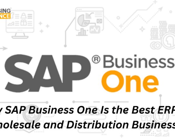 Why SAP Business One Is the Best ERP for Wholesale and Distribution Businesses