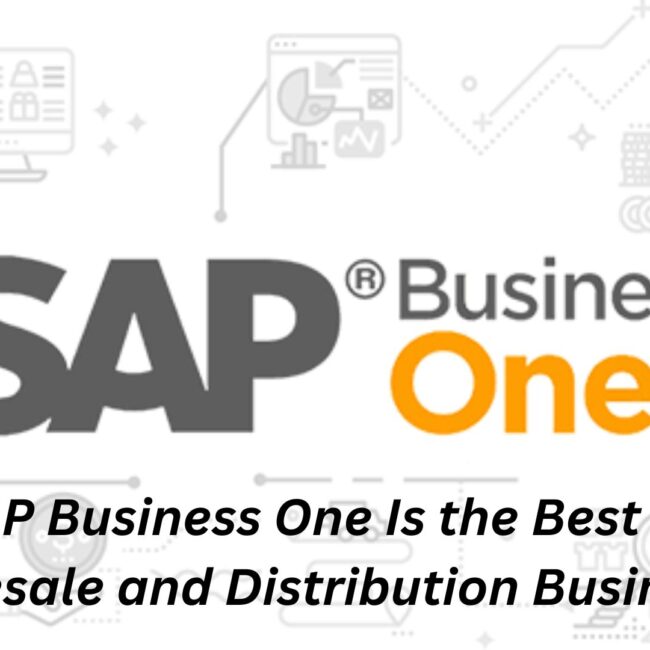 Why SAP Business One Is the Best ERP for Wholesale and Distribution Businesses