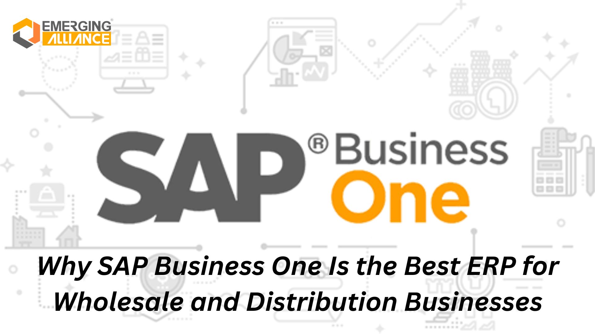 Why SAP Business One Is the Best ERP for Wholesale and Distribution Businesses