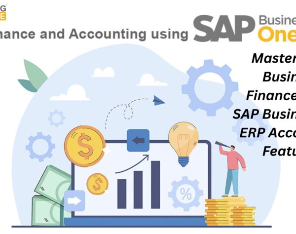 Master Your Business Finances with SAP Business One ERP Accounting Features
