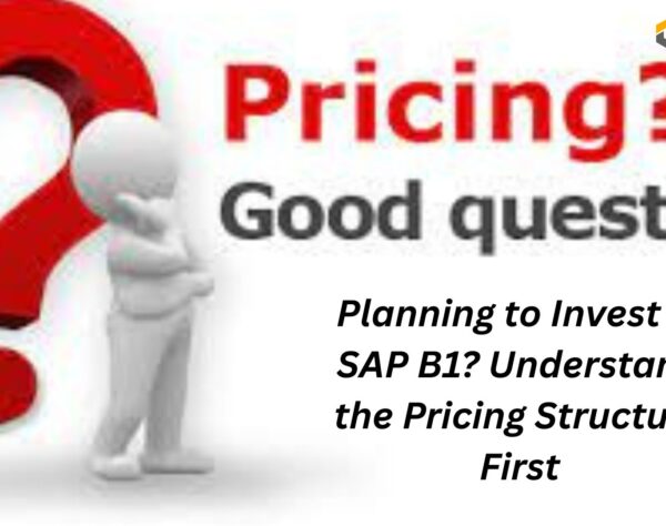 Planning to Invest in SAP B1? Understand the Pricing Structure First