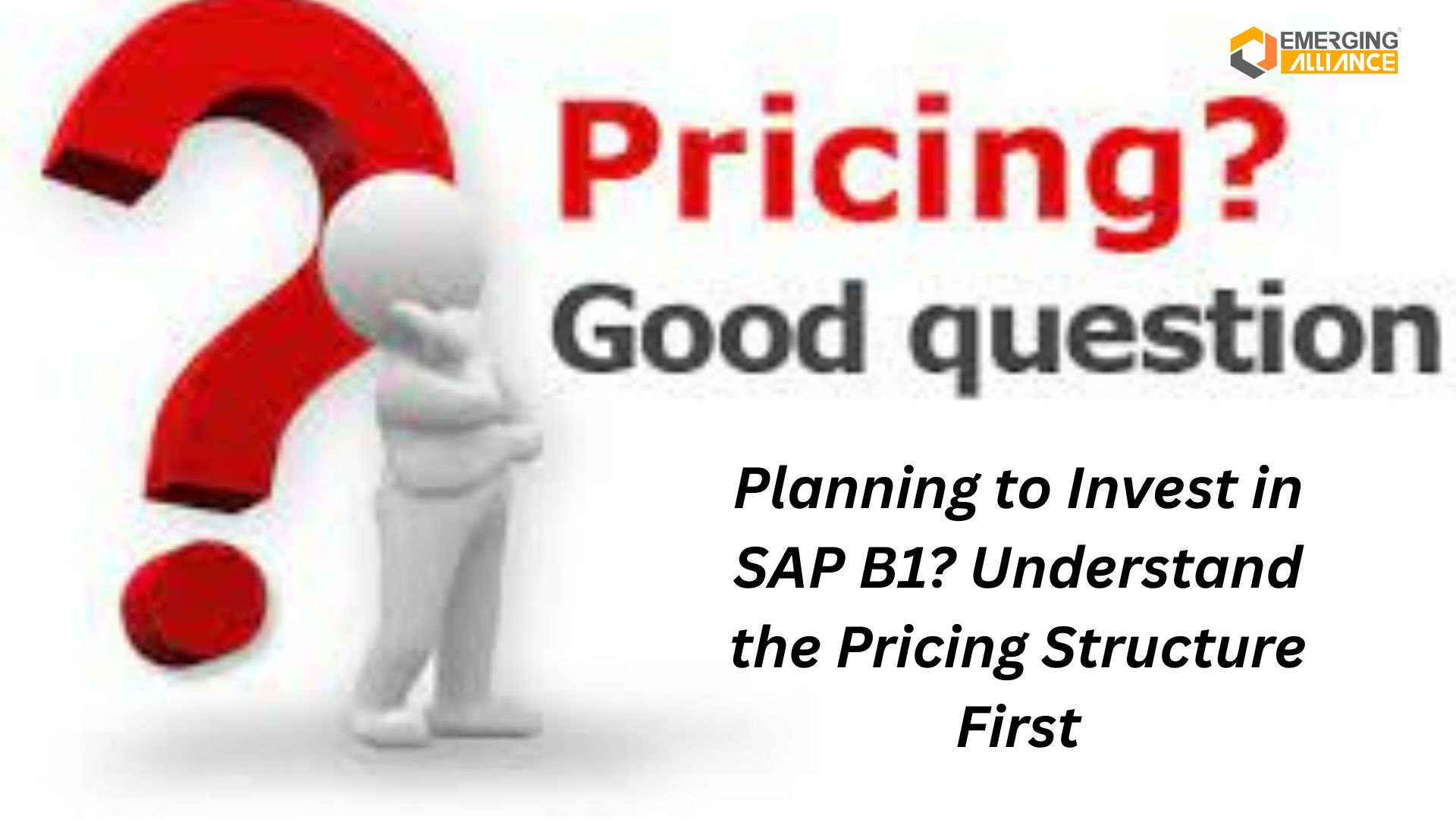Planning to Invest in SAP B1? Understand the Pricing Structure First