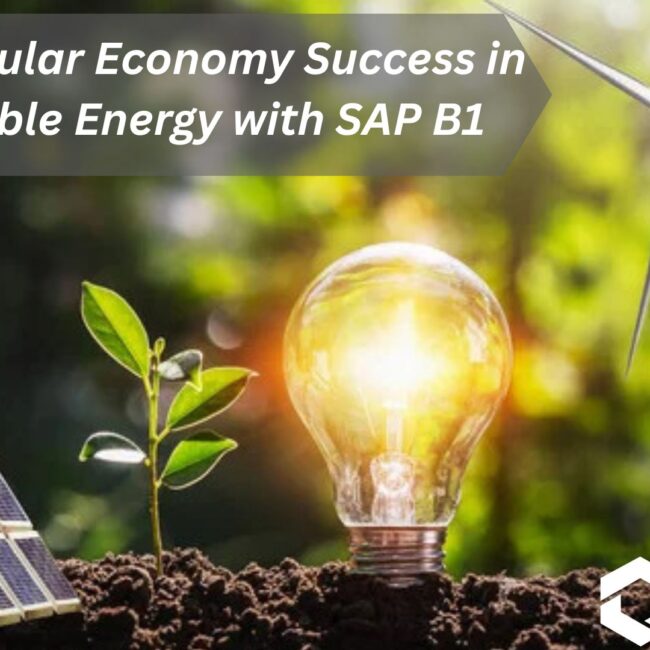 ERP-powered circular economy in renewable energy using SAP B1 for waste reduction, reuse, and sustainable operations.