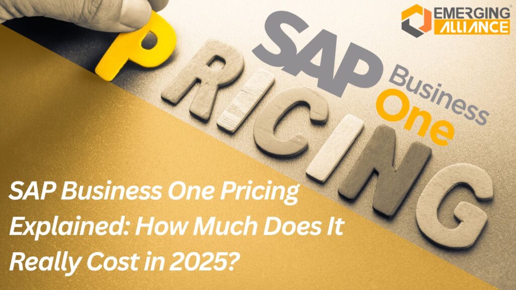 SAP Business One pricing guide 2025 – cloud vs on-premises cost comparison