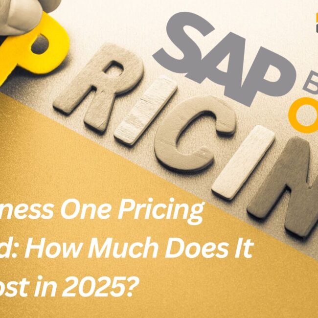 SAP Business One pricing guide 2025 – cloud vs on-premises cost comparison