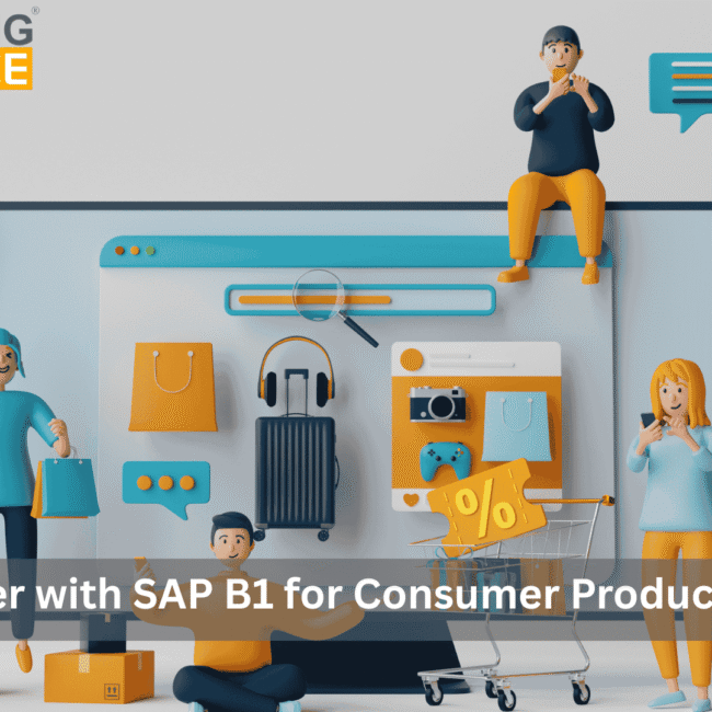 SAP B1 for consumer product companies improving growth, efficiency, and sales visibility