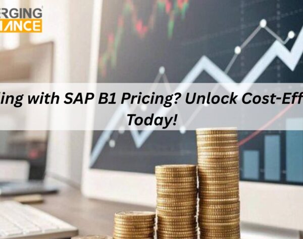 SAP B1 Pricing including license and implementation costs