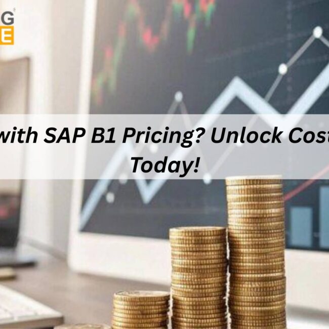 SAP B1 Pricing including license and implementation costs