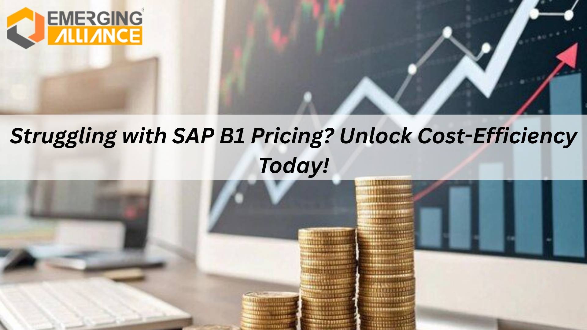 SAP B1 Pricing including license and implementation costs