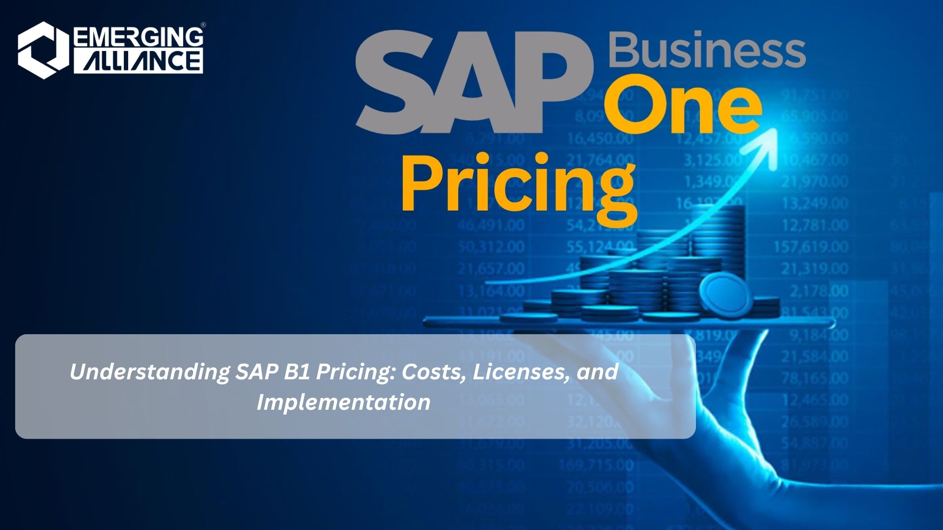 SAP B1 Pricing overview showing SAP Business One license types, implementation options, and ERP cost considerations