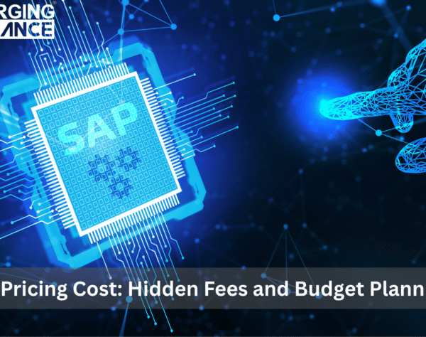 Impact of Number of Users on SAP Business One Pricing for Small and Medium Businesses