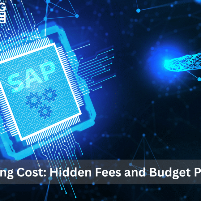 Impact of Number of Users on SAP Business One Pricing for Small and Medium Businesses