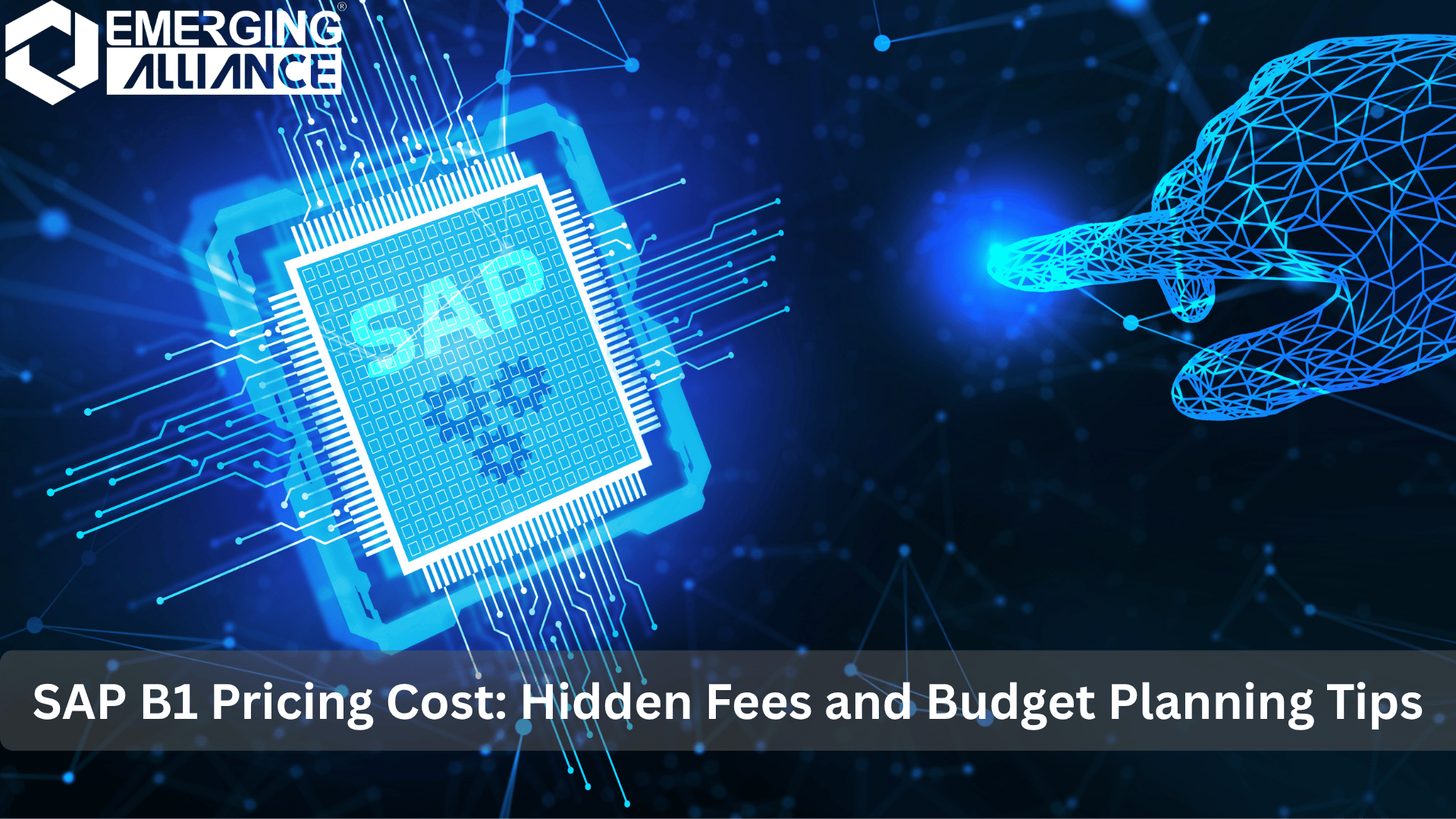 Impact of Number of Users on SAP Business One Pricing for Small and Medium Businesses