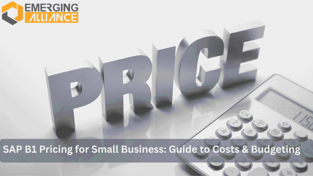 SAP B1 pricing for small business dashboard showing cost and module options