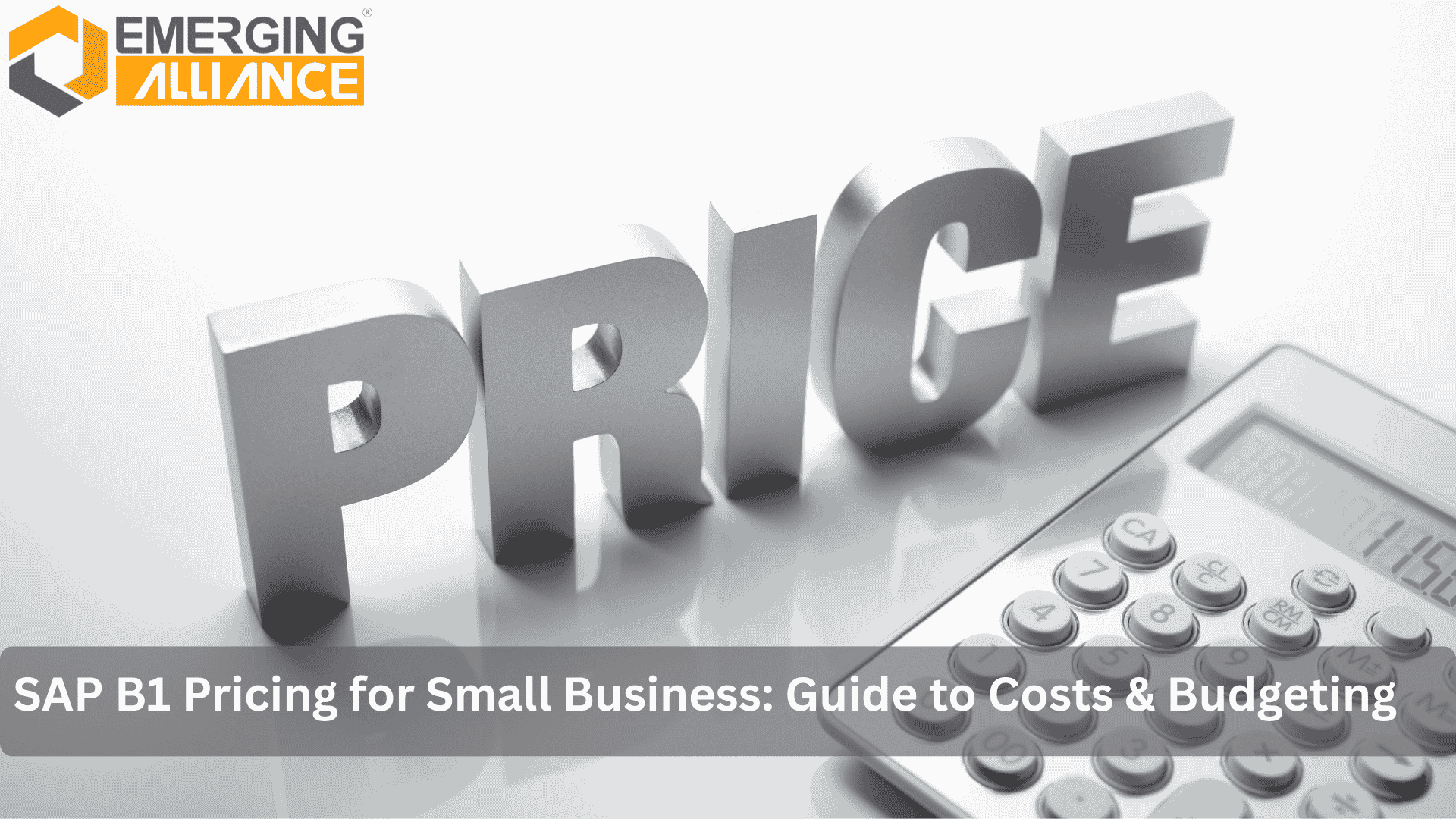 SAP B1 pricing for small business dashboard showing cost and module options