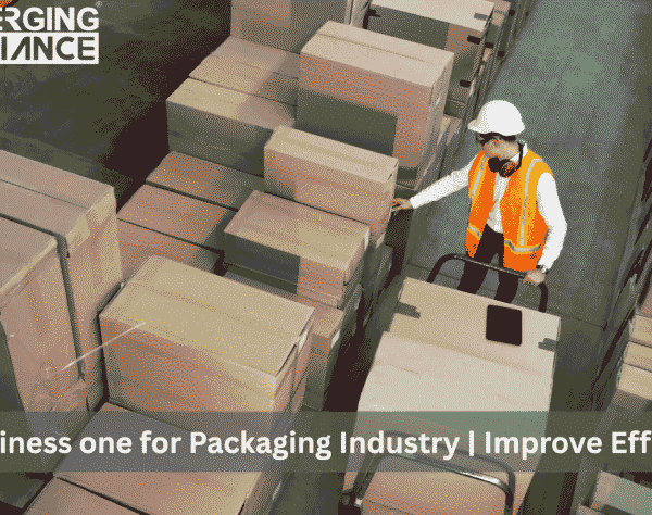 Custom packaging order tracking and production scheduling in SAP B1 software
