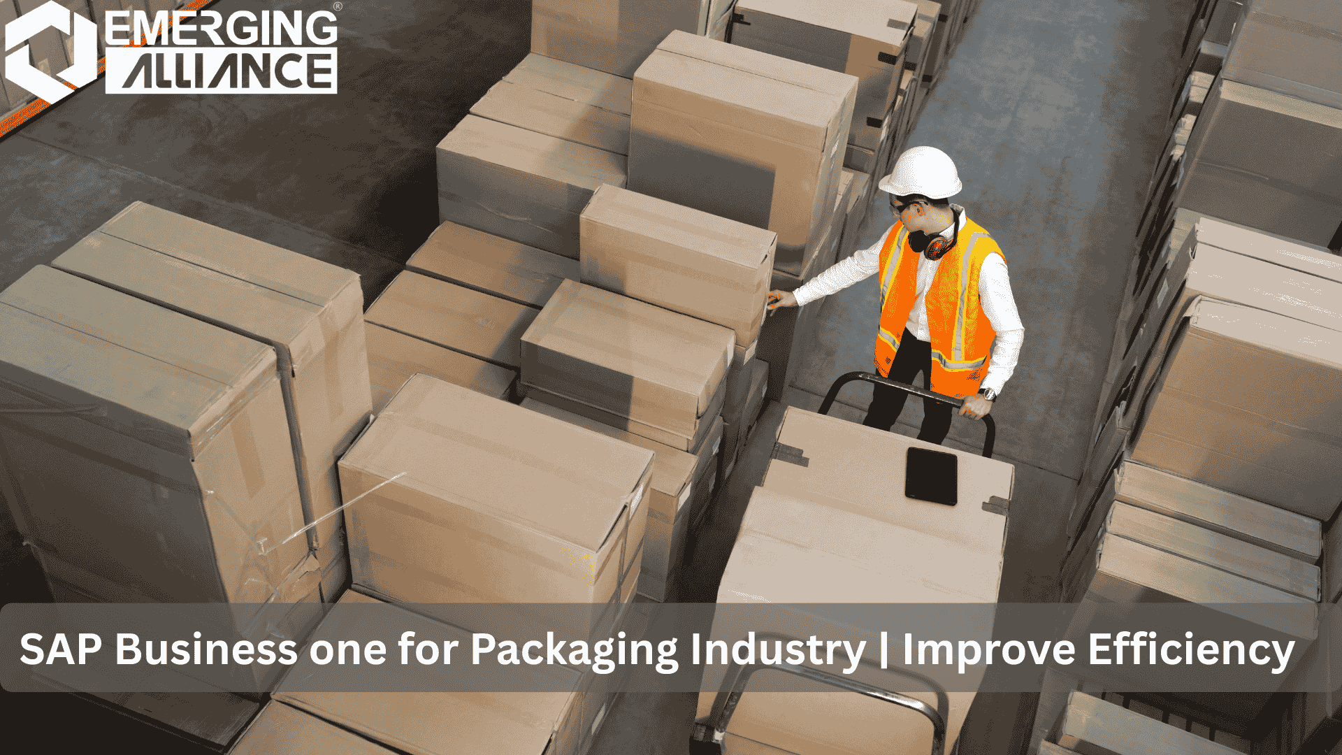 Custom packaging order tracking and production scheduling in SAP B1 software
