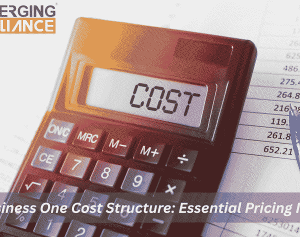 SAP Business One cost structure and pricing model explained for small and mid-sized businesses