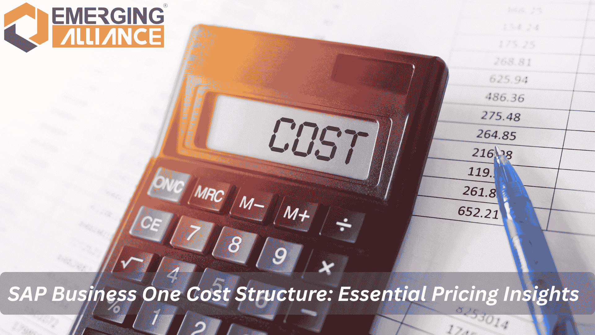 SAP Business One cost structure and pricing model explained for small and mid-sized businesses