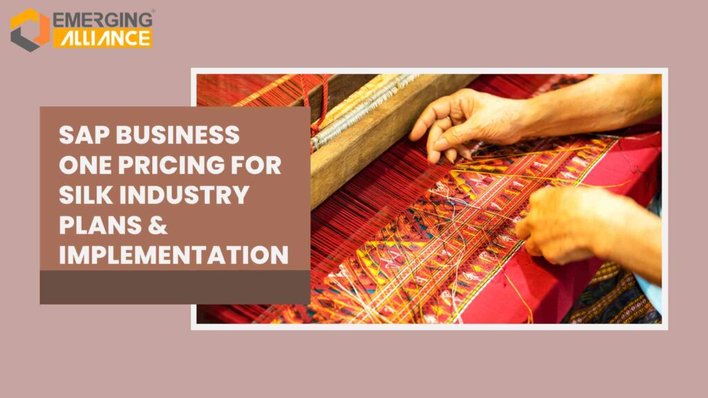 SAP Business One pricing and implementation for the silk industry showcasing traditional silk weaving process