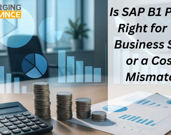 Leadership reviewing SAP B1 Pricing against business size and growth plans