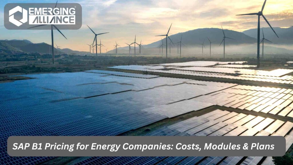 SAP B1 energy pricing overview with modules and license options for energy companies