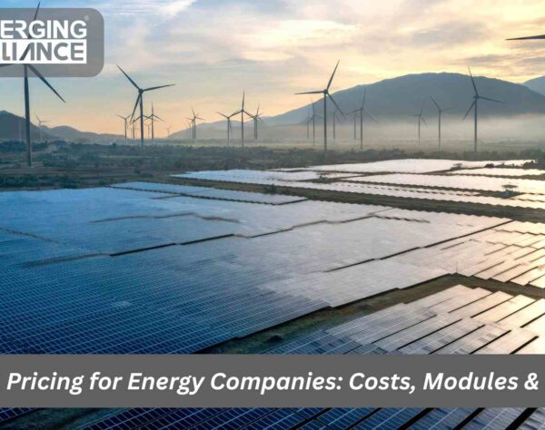 SAP B1 energy pricing overview with modules and license options for energy companies