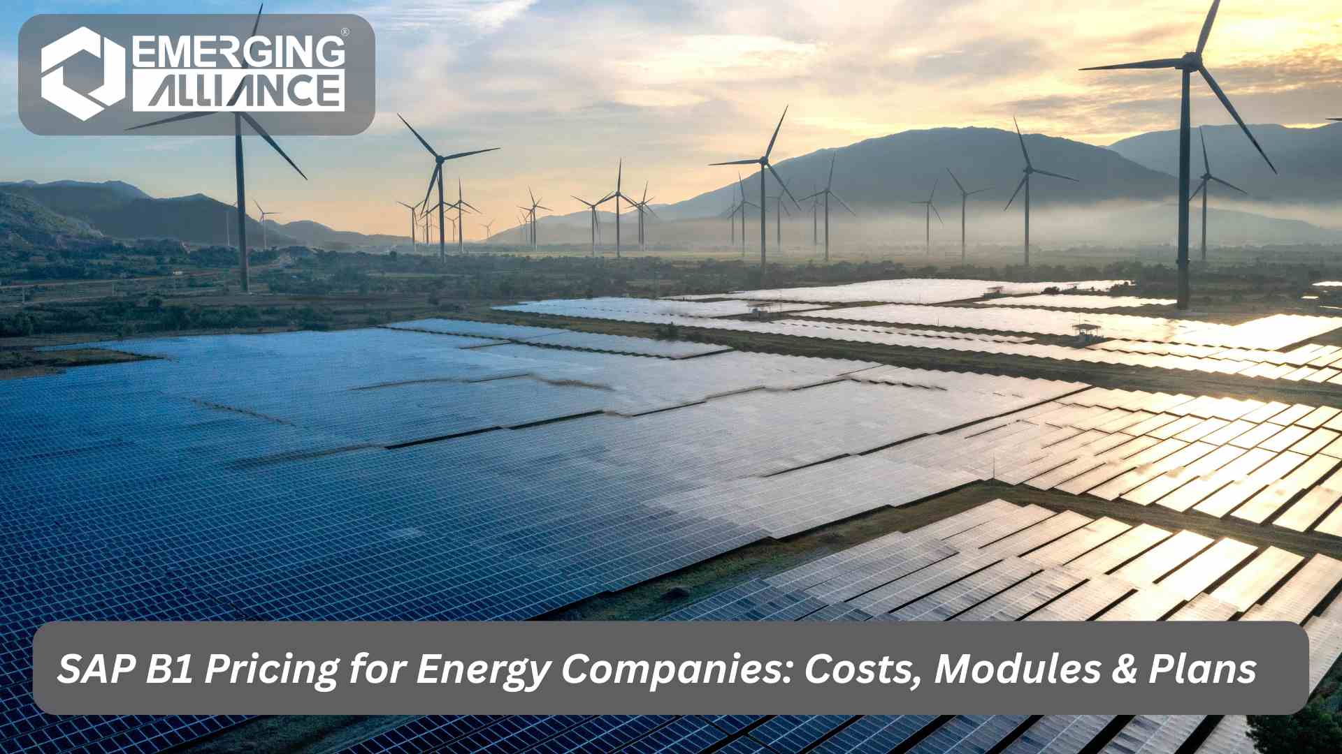 SAP B1 energy pricing overview with modules and license options for energy companies