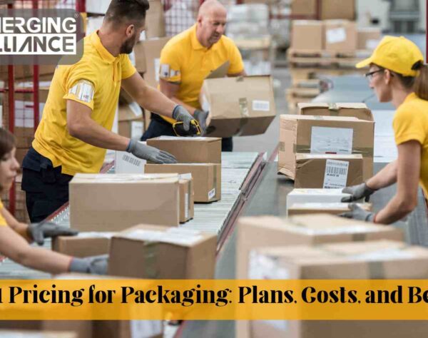 SAP B1 Pricing for Packaging Industry ERP Cost, Plans, and Implementation Overview