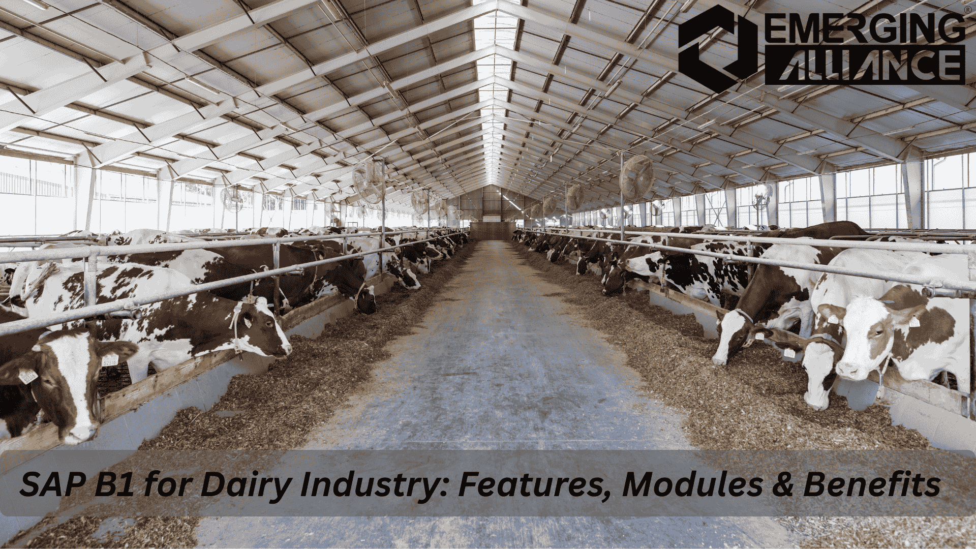 SAP B1 for Dairy Industry streamlines milk collection, production, QC, distribution, and finance for efficient operations.