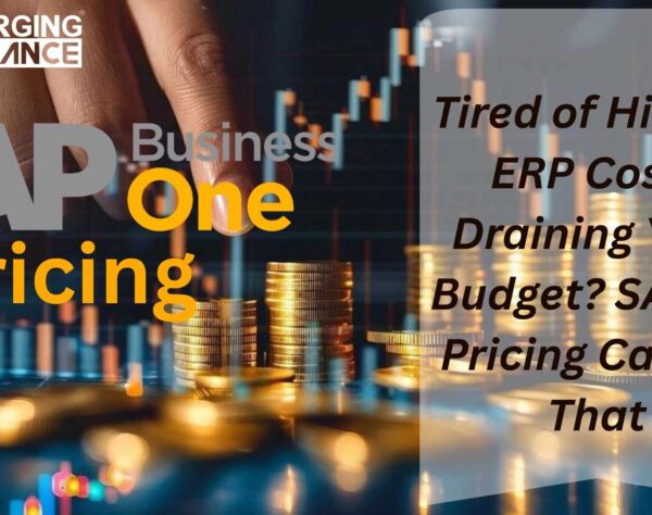SAP B1 Pricing overview and cost breakdown for small, medium, and large businesses