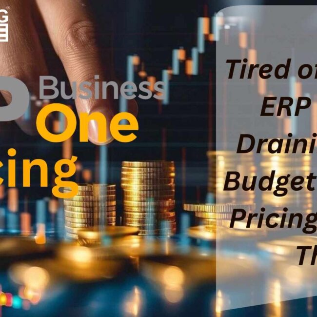 SAP B1 Pricing overview and cost breakdown for small, medium, and large businesses