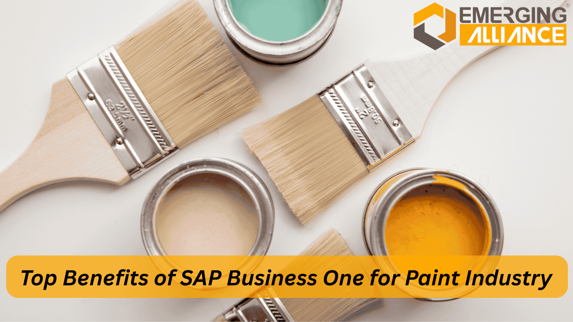 SAP Business One ERP dashboard for paint manufacturers showing production, inventory, and sales control