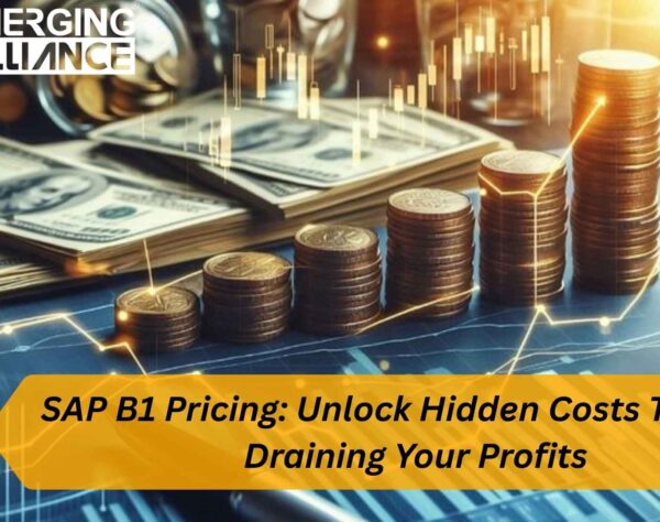 SAP B1 Pricing overview showing license, cloud, and implementation costs