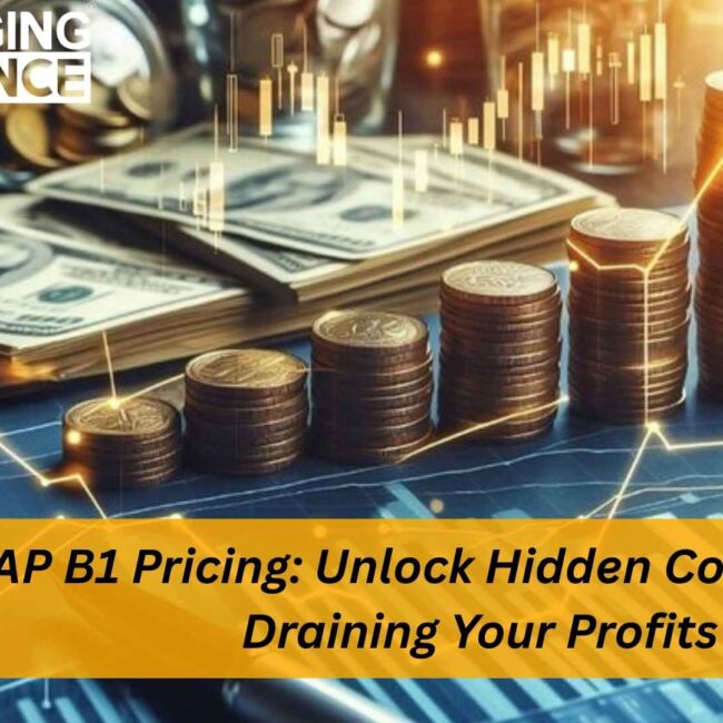 SAP B1 Pricing overview showing license, cloud, and implementation costs