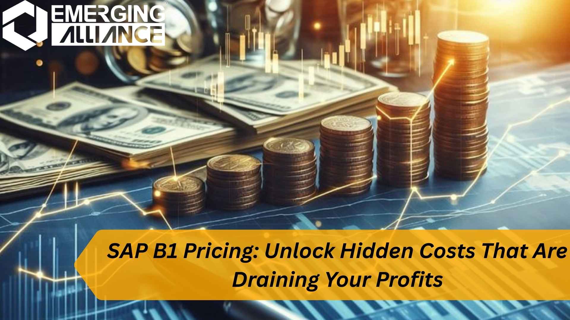 SAP B1 Pricing overview showing license, cloud, and implementation costs