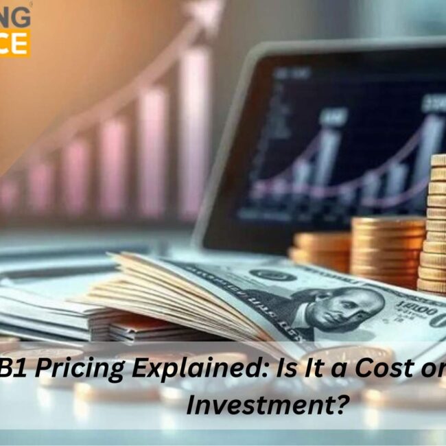 SAP B1 Pricing breakdown showing license, implementation and cloud cost components
