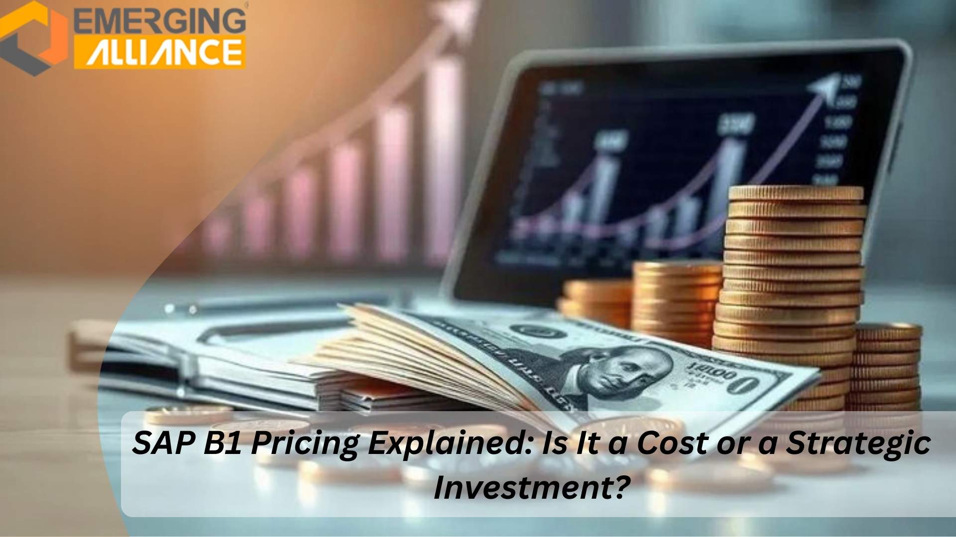 SAP B1 Pricing breakdown showing license, implementation and cloud cost components