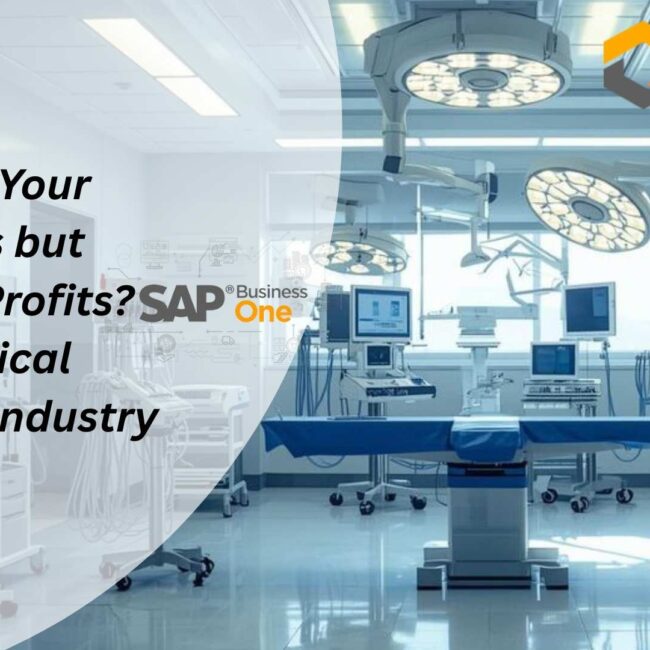 SAP Business One for Medical Equipment Industry dashboard showing inventory and compliance tracking